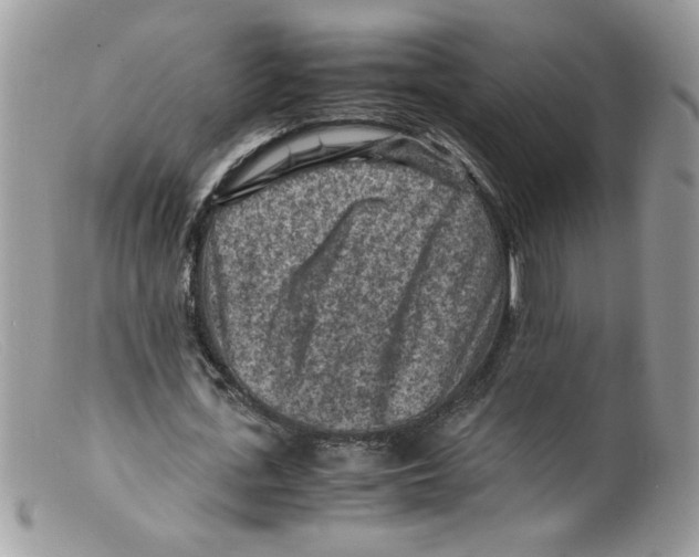 X0000098160723200805151228