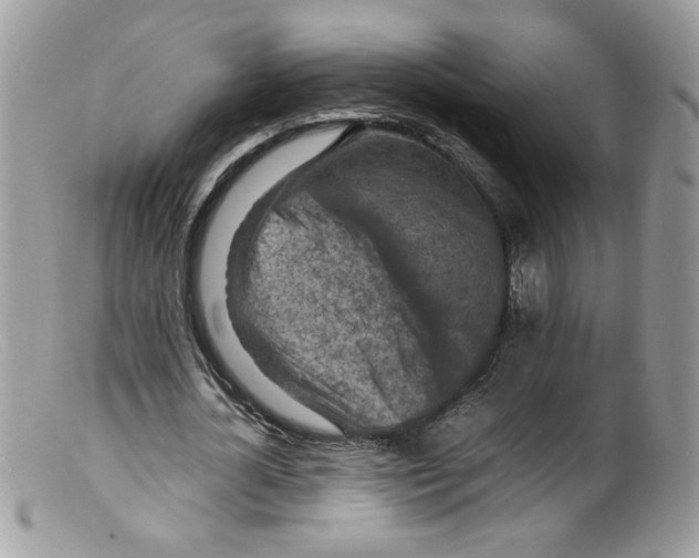 X0000098160724200805151228