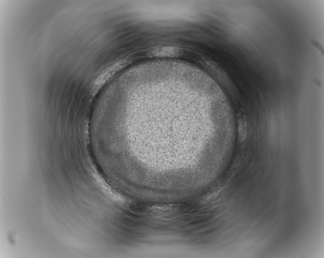 X0000098160725200805151228