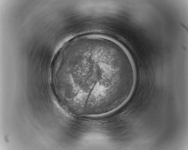 X0000098160726200805151228