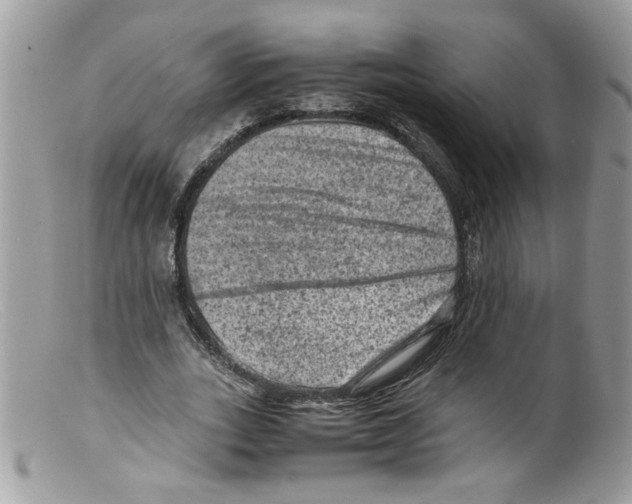 X0000098160727200805151228