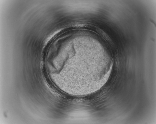 X0000098160728200805151228