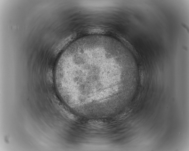 X0000098160729200805151228