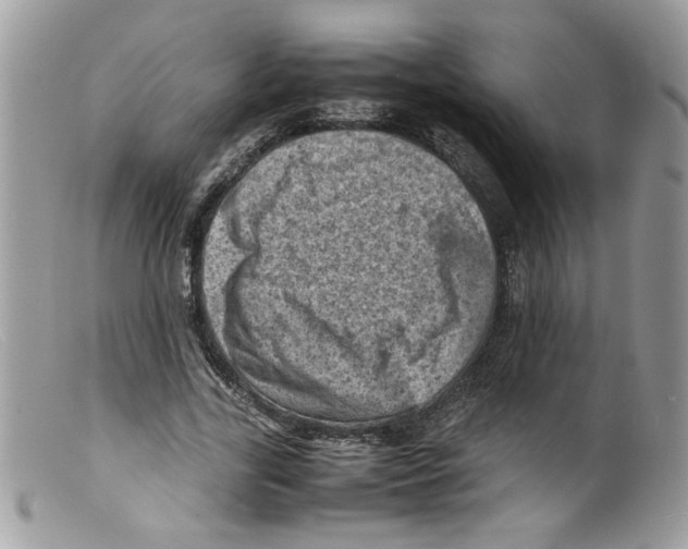 X0000098160731200805151228