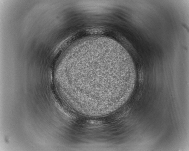 X0000098160733200805151228