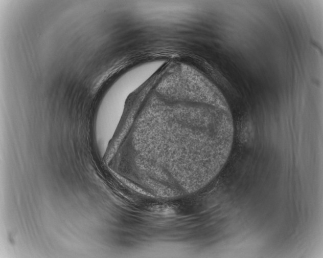 X0000098160735200805151228