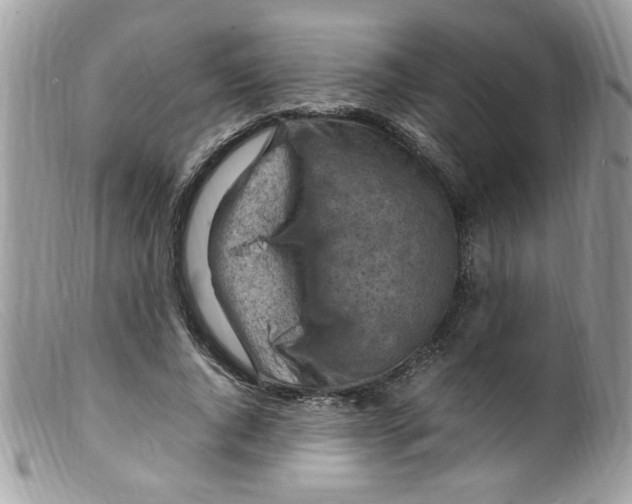 X0000098160736200805151228