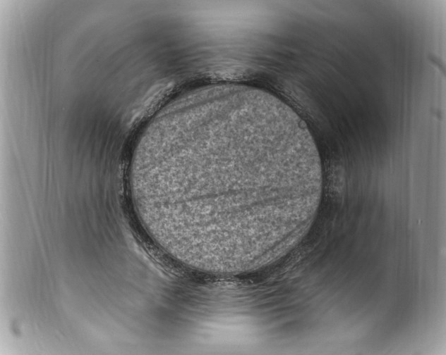 X0000098160738200805151228