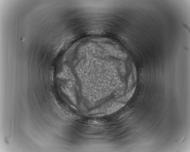 X0000098160739200805151228