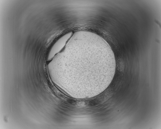 X0000098160740200805151228