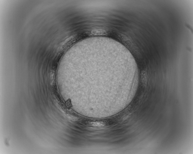 X0000098160741200805151228