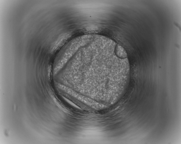 X0000098160742200805151228