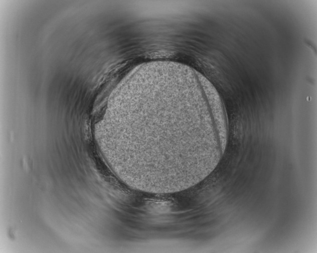 X0000098160743200805151228