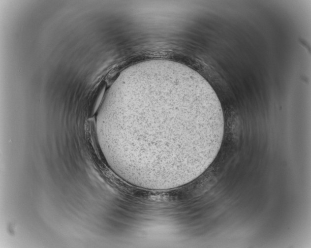 X0000098160744200805151228