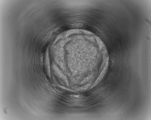 X0000098160745200805151228