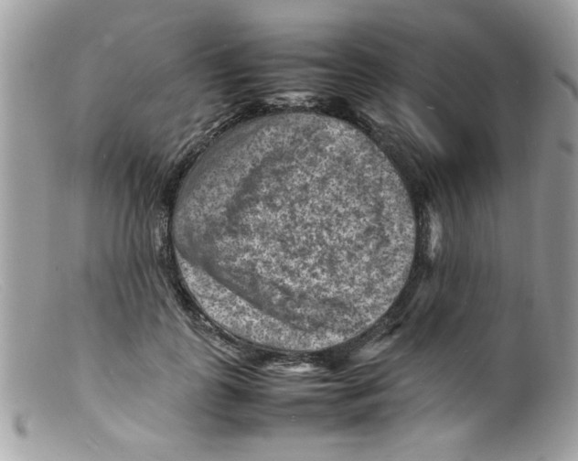 X0000098160747200805151228