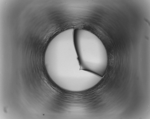 X0000098160748200805151228