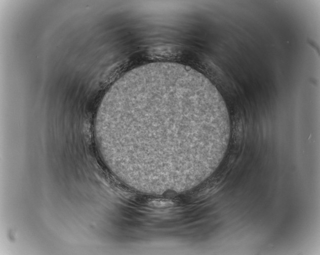 X0000098160749200805151228