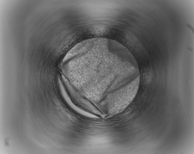 X0000098160750200805151228