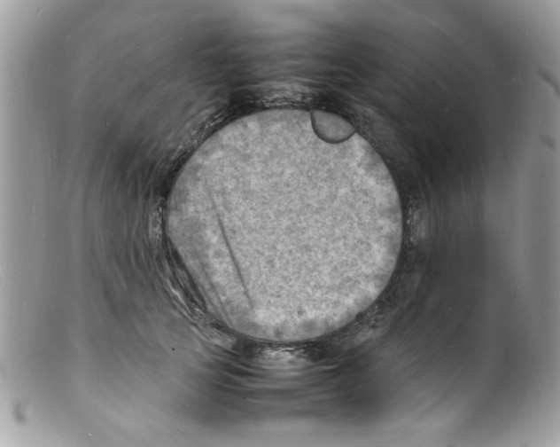 X0000098160753200805151228