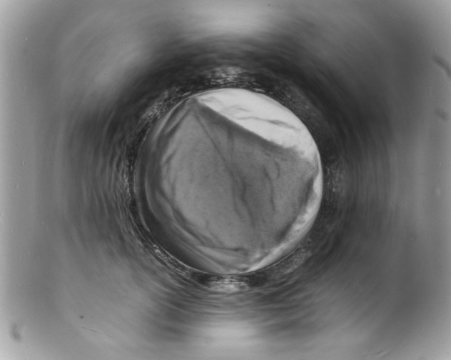 X0000098160754200805151228