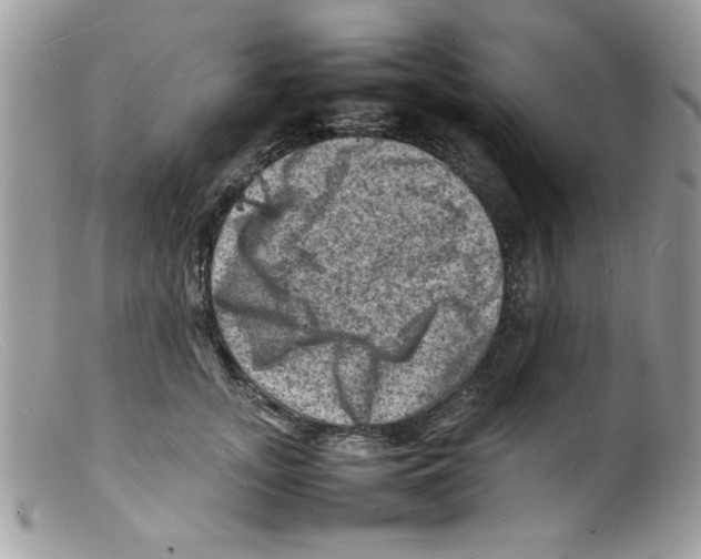 X0000098160755200805151228