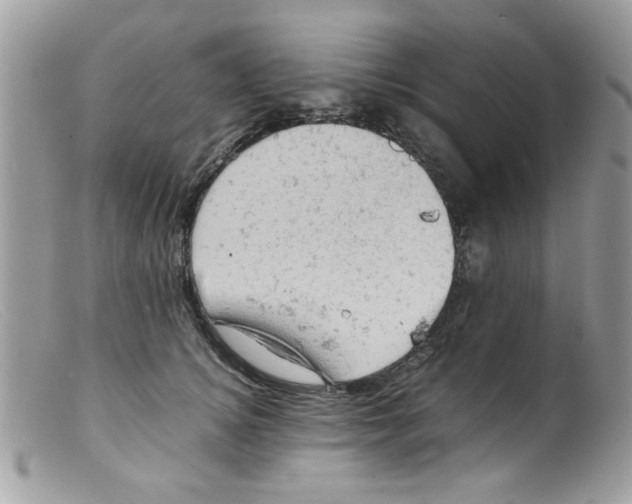 X0000098160756200805151228