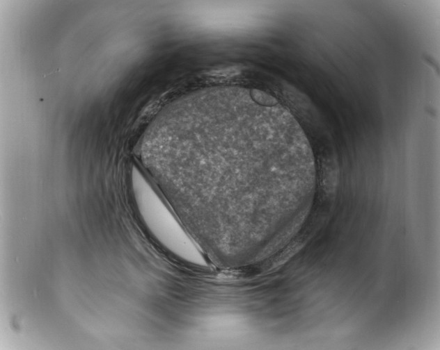 X0000098160758200805151228