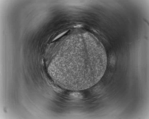 X0000098160759200805151228