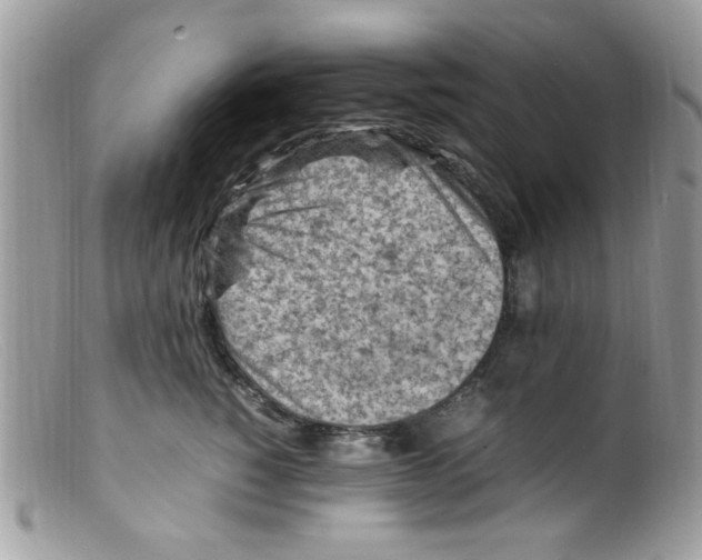 X0000098160760200805151228