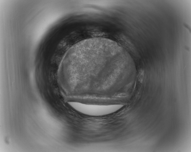 X0000098160763200805151229