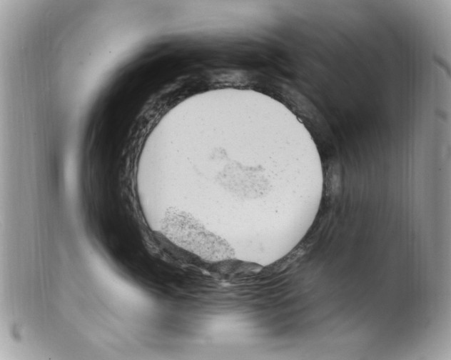 X0000098160764200805151229