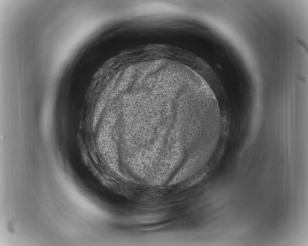 X0000098160765200805151229