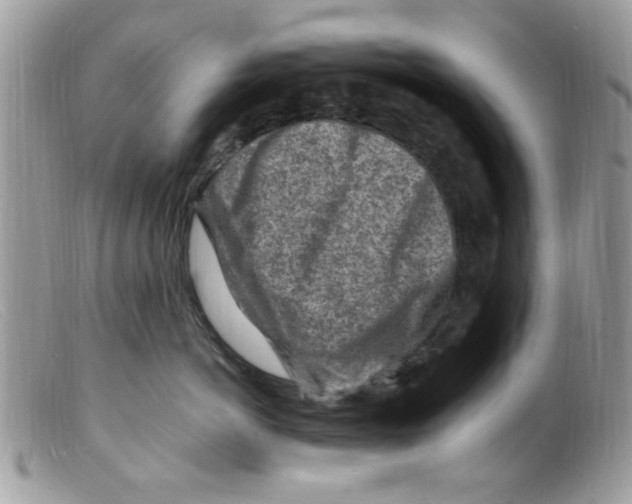 X0000098160766200805151229