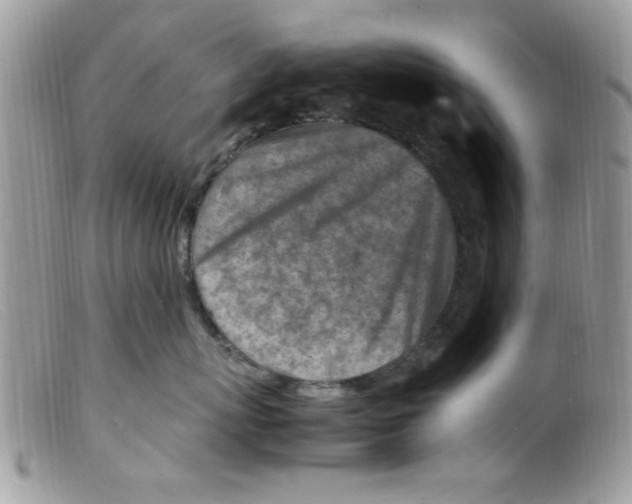 X0000098160767200805151229