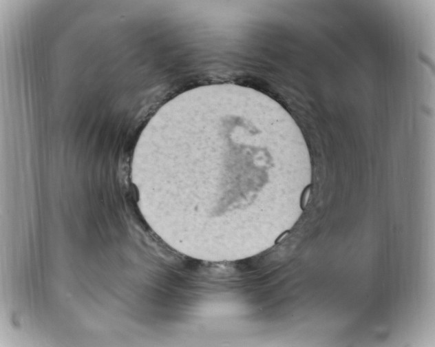 X0000098160768200805151229