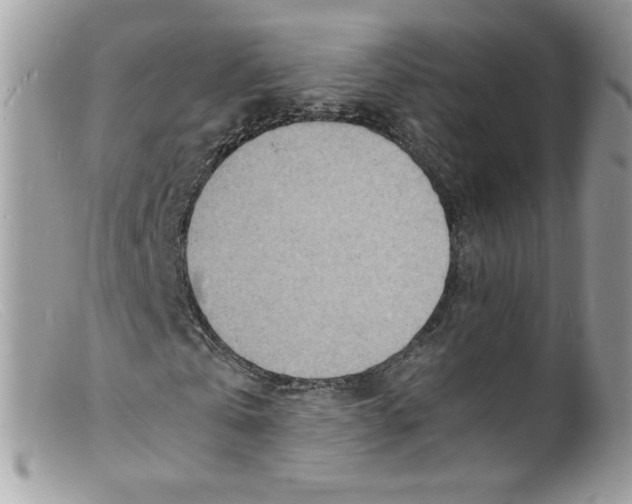 X0000098160769200805151228