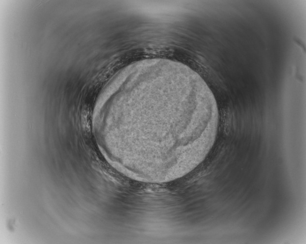 X0000098160770200805151228