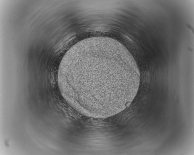 X0000098160774200805151228