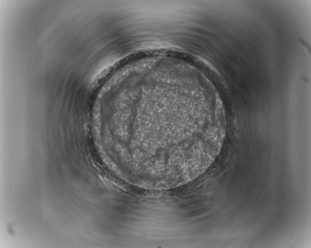 X0000098160775200805151228