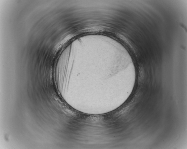 X0000098160778200805151228