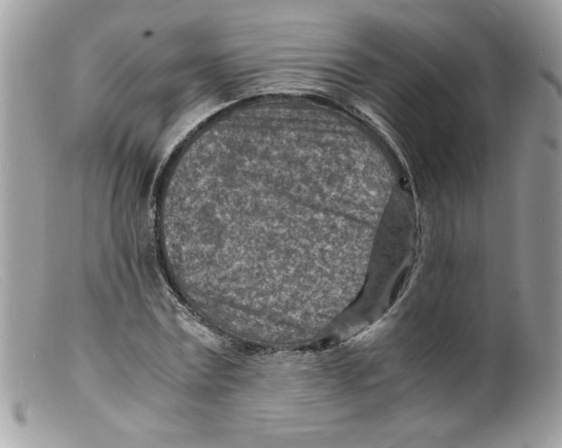 X0000098160779200805151228