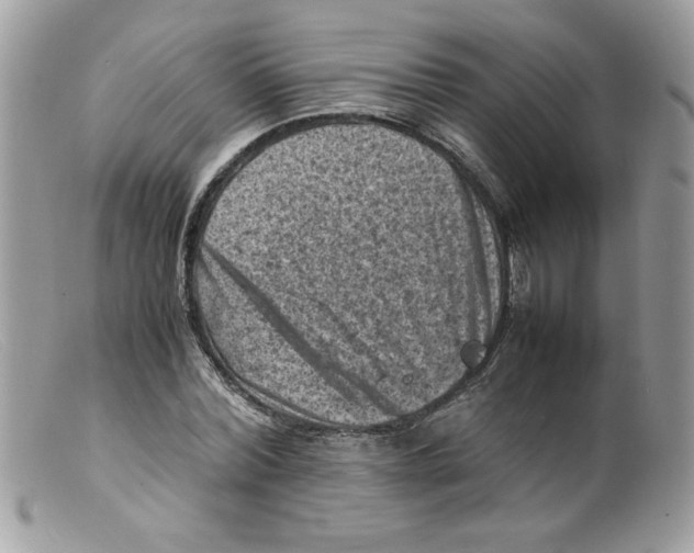 X0000098160780200805151228