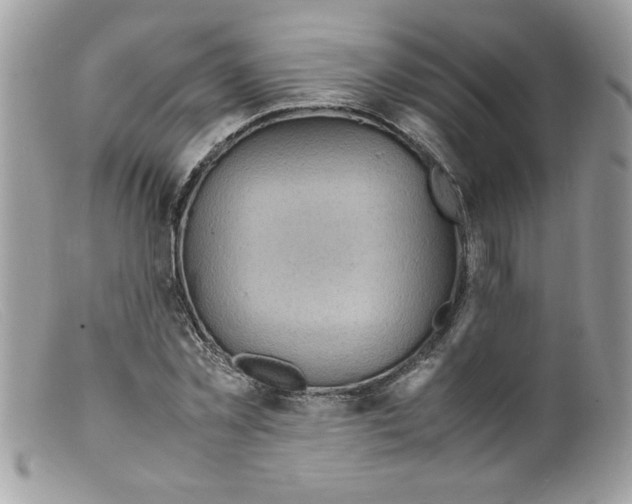 X0000098160781200805151228