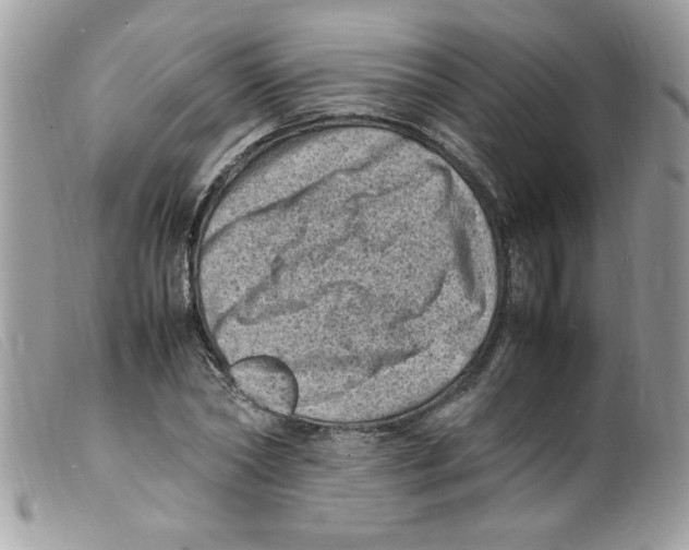 X0000098160782200805151228