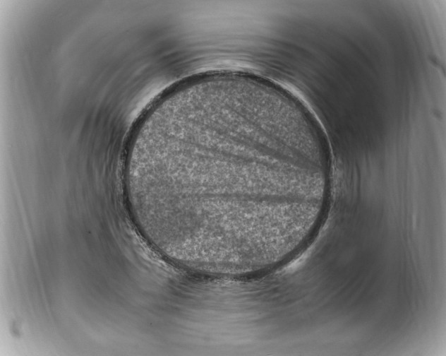 X0000098160783200805151228