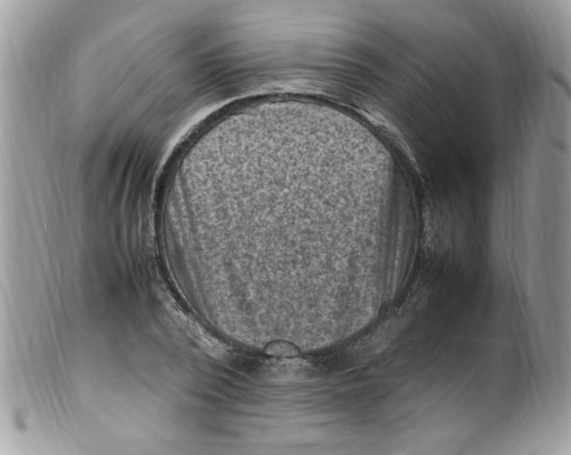 X0000098160784200805151228