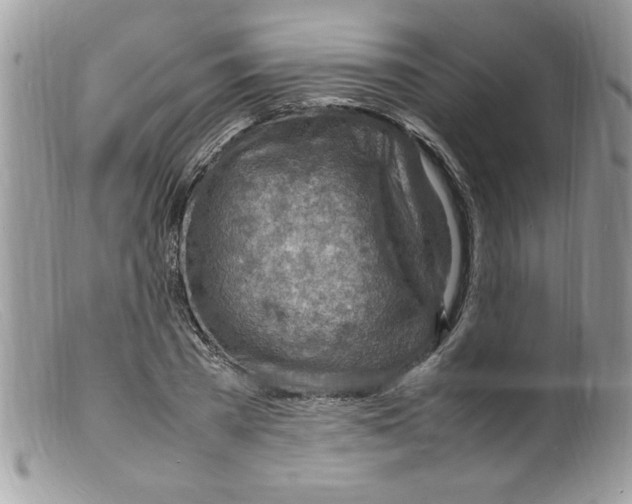 X0000098160785200805151228