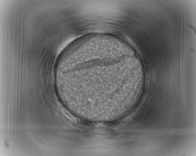 X0000098160787200805151228