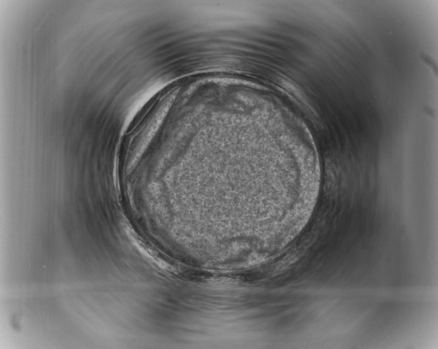 X0000098160788200805151228